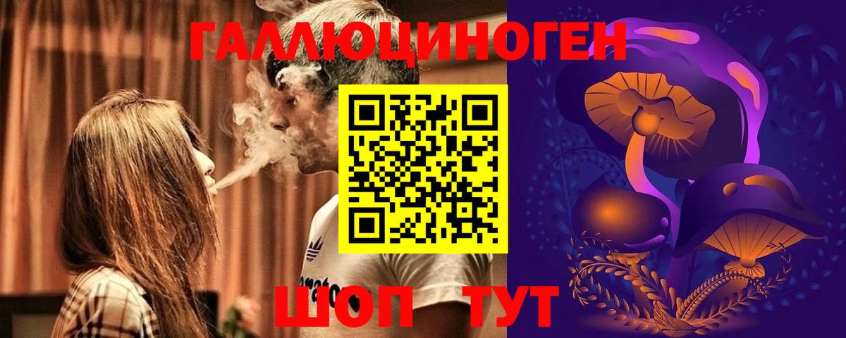 Псилоцибиновые грибы Psilocybe Туапсе